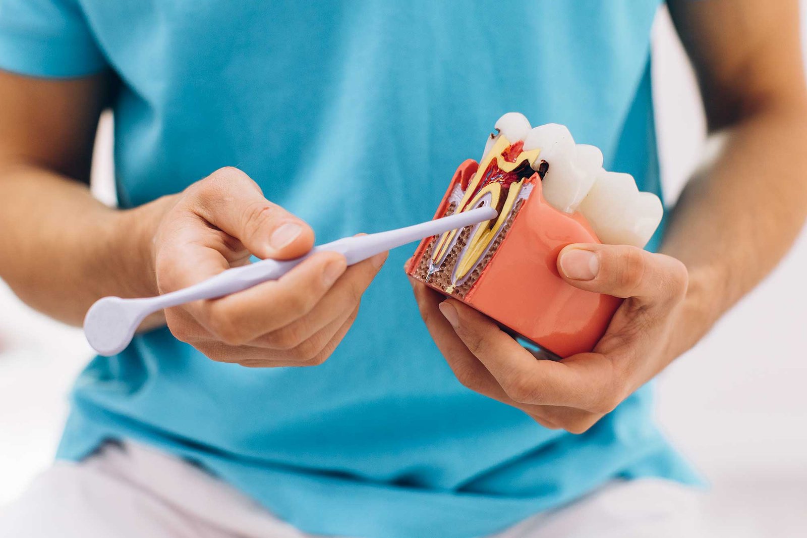 carrossel-endodontico2